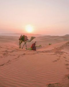 Abu Dhabi Morning Desert Safari Tours
