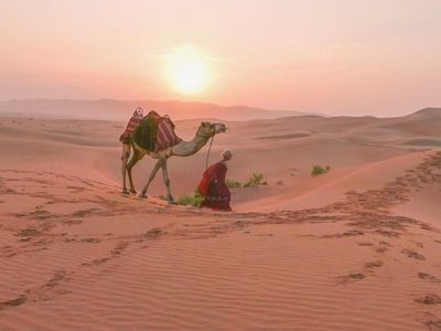 Abu Dhabi Morning Desert Safari Tours