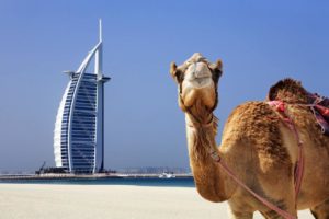 Dubai Stopover Tour