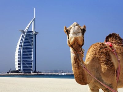 Dubai Stopover Tour