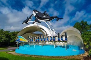 SeaWorld Abu Dhabi Tour