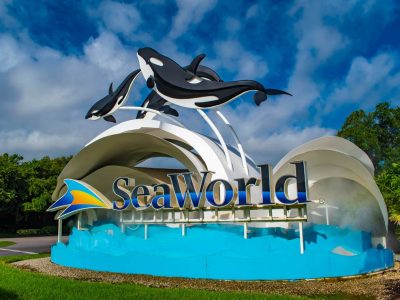 SeaWorld Abu Dhabi Tour